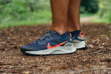 nike pegasus 3 trail gtx.